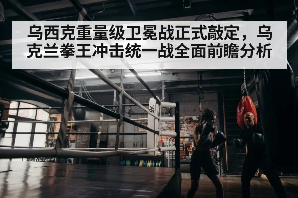 boxer training gym